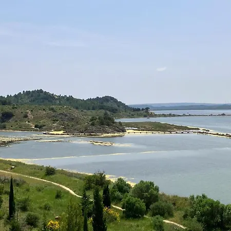 Lumineux T1 Bis A Deux Pas Des Etangs * Peyriac-de-Mer